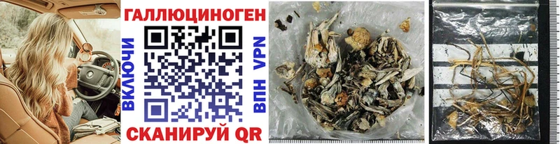 Галлюциногенные грибы Cubensis  где можно купить наркотик  Кунгур 